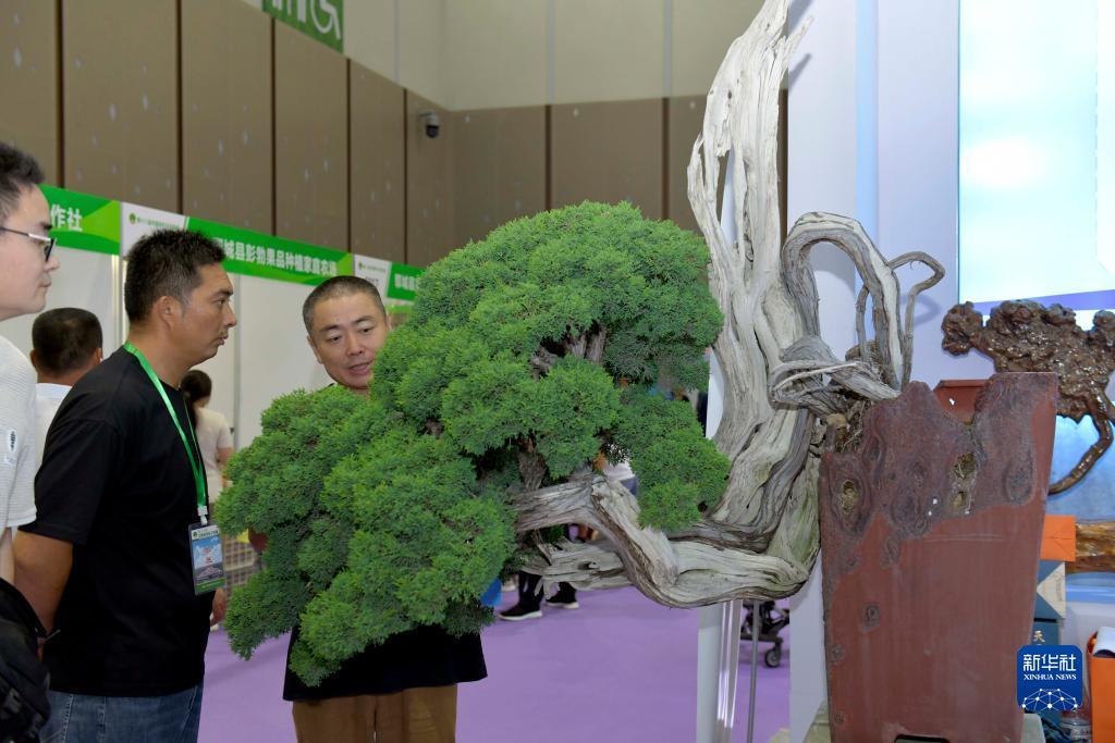 现金网手机版娱乐